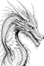 Placeholder: Drawing a dragon without colors and a white background