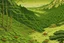 Placeholder: An olive green kingdom with insects painted by Katsushika Hokusai