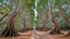 Placeholder: Crooked Forest, Poland