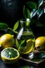 Placeholder: Potion with water, green leaves, lemon slice and ginger