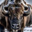 Placeholder: Gros bison mâle dans le froid de l'hiver, détail net et clair, hyper réaliste