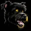 Placeholder: illustration of an angry scruffy black terrier on black background, yellow eyes