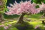 Placeholder: volumetric japanese landscape environment and background, highly detailed concept art, color pencil and watercolor, japanese cherry blossom festival, extreme close-up still life of a sakura plum tree bonsai, overgrowth, placed on a medieval redwood table, illustration, translucence, small minutiae, tiny features, particulars, anime, 8k, uhd, realistic shaded volumetric lighting, volumetric clouds, speedtree cinema render, centered camera view, colour-washed colors, design and art by sam curry