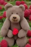 Placeholder: raspberry bear