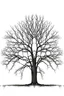 Placeholder: baum ohne blätter