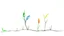 Placeholder: Expressive and minimalist oil pastel drawing of a minimalist garden. White background.