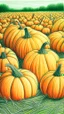 Placeholder: pencil drawing with colored pencils of a pumpkin patch, green