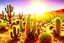 Placeholder: variety of cacti in a desert landscape under a blazing sun