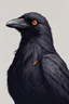 Placeholder: Portrait of an raven with orange eyes. Simple drawing style.