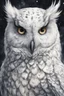 Placeholder: ink wash and watercolor illustration of a wizened Snowy Owl girl with highly detailed feathers and facial features , with a fine art aesthetic, highly detailed , realistic , 4k UHD cinegraphic quality