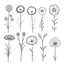 Placeholder: set of grow wind flower on the grace bouqute, SIMPLE ONE lineS art, white background, minimalis, different view, only white bakcground solid.