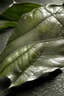 Placeholder: Organic leaf became metallic, silver