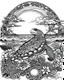 Placeholder: coloring pages for kids, Pacific island shaped Japanese ink painting,, splashed paint, tropical beach, paradise, sea turtles, yellow sun, a Polynesian warrior , Art drawing ; ink , super detailed, text a the bottom “Tonga”, anime cartoon style, thick lines, low detail, black and white, no shading, --ar 85:110