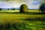 Placeholder: A grassy plain filled with haystacks painted by Claude Monet