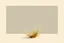 Placeholder: Isolated concept art of low poly stylized alien dry single leaf grass on a plain neutral background. Simple low-poly design with minimal details