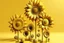 Placeholder: 3d,sunflowers,patterns,minimalism,dada