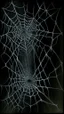 Placeholder: pencil drawing of spiderweb, Spooky, scary, halloween, black paper, color