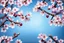 Placeholder: fantastic light pin blue background with three rows of four evenly spaced cherry blossoms