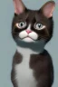 Placeholder: the cat's mother's attention to him in cleanliness by removing the hair of the head as if he was a Created small cat bald person with hair behind the head and ears and for hair from the right side of the head is long and covered with the rest of the baldness in the other direction This is the indicator that you find on a lot of bald men