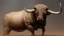 Placeholder: dangerous bull oil painting