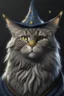 Placeholder: realistic wizard cat