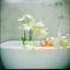 Placeholder: Freesias in the bathtub, polaroid