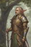 Placeholder: Noble Elf