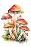 Placeholder: Mushrooms in the style of watercolor on a white background --tile