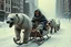 Placeholder: post-apocalyptic winter dystopia, sled pulled by zombie polar bear mutant creatures; man in sled dressed in steampunk snow goggles, head-wrapping, and heavy robes; middle of a street in an empty destroyed city, massive snow drifts, ice particles, dramatic