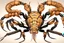 Placeholder: Detailed, illustration, realistic, symmetrical, scorpion, realistic.