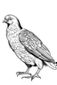 Placeholder: pigeon coloring, cartoon style, thick lines, low detail, black and white, no shading, wide shot