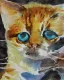 Placeholder: watercolor painting, cat, happy, bright color,