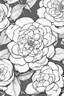 Placeholder: outline art of Camellia only black and white, no colour , White background. sketch style, clean line art, white background, no shadow and clear, no people, no colour, for book