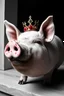 Placeholder: put lipstick on a pig and call it a princess; lowbrow