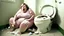 Placeholder: big lady sits on shattered toilet