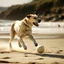 Placeholder: a dog on the beach playing football