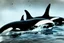 Placeholder: An orca army pod fighting in WW2, swimming up a stream to attack, orca insurgents, armored orcas