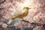 Placeholder: An image of a crystal bird covered in gold etching and diamonds, perched on a branch of cherry blossoms. The scene is illuminated by a soft, ethereal light, enhancing the intricate details and textures of the bird and the surroundings. The art style is detailed, realistic, and captures the magical essence of the scene, trending on ArtStation. The composition combines elements of classical elegance and modern fantasy, reminiscent of the masterful works elegant fantasy intricate high