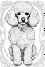 Placeholder: outline art for cute poodle coloring pages with white background, sketch style, full body, only use outline, mandala style, clean line art, white background, no shadow and well outlined