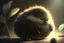 Placeholder: cute kiwi with thick fur, trending on artstation, light and shadows, dramatic