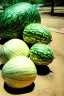 Placeholder: Those melons are huge