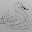 Placeholder: line drawing of a snow goose