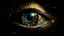 Placeholder: Eye of Horus realistic in space art style detailed 4k ultra gold