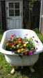 Placeholder: A Bathtub Al of it filled with dirt to the top, and in growing a colorful flowers , some of them are tingling down on the sides in an abandoned backyard