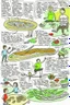 Placeholder: make a drawing of how people would benefit from eating more healthily and exercising