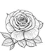 Placeholder: Rose Flower coloring page white background, black and white onlyb outline