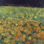 Placeholder: Portrait of kittens in a field of flowers at night by Van Gogh