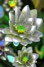 Placeholder: metallic garden shiny-chrome-open-flower-petals glass flowers sharp focus extremely detailed very attractive dynamic lighting exquisite detail