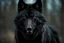 Placeholder: Full body shot of a Large black wolf growling lip curled, facing the camera, Photorealistic, 4k, dark fantasy