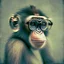 Placeholder: retro film grain funny monkey with glasses profile picture